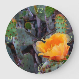 Oranje Prickly Pear Opuntia Cactus Flower Photo Grote Klok