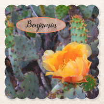 Oranje Prickly Pear Opuntia Cactus Flower Photo