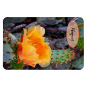 Oranje Prickly Pear Opuntia Cactus Flower Photo Magneet (Horizontaal)
