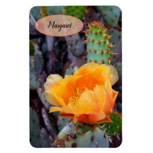 Oranje Prickly Pear Opuntia Cactus Flower Photo Magneet