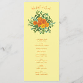 Oranje programma's voor het Roos van de lichtgele 