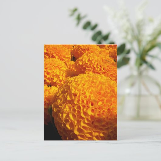 Oranje Puff Briefkaart (Staand voorkant)