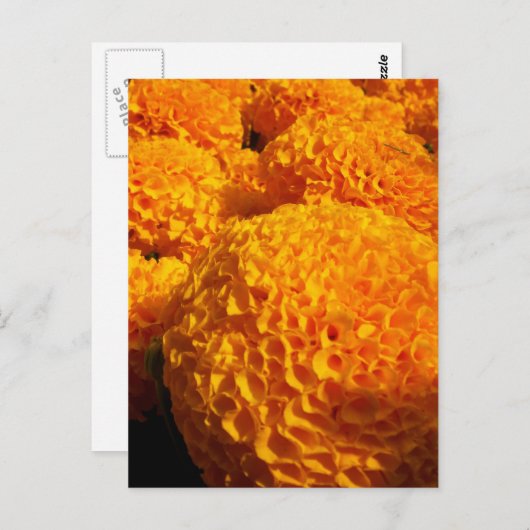 Oranje Puff Briefkaart (Voorkant / Achterkant)