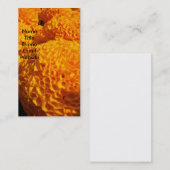 Oranje Puff-profielkaart Visitekaartje (Voorkant / Achterkant)