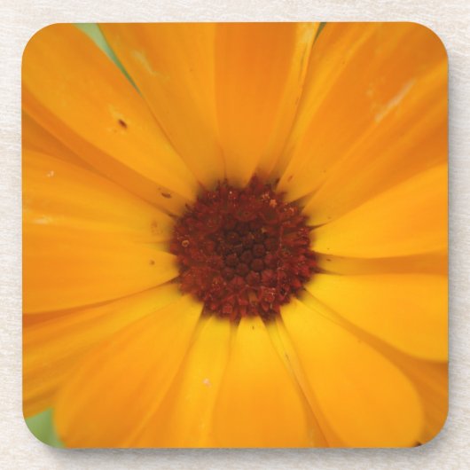 Oranje Rain Daisy Cork Onderzetter (Voorkant)