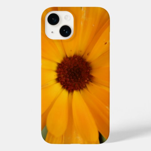 Oranje Rain Daisy iPhone 5 Hoesje (Achterkant)