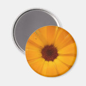 Oranje Rain Daisy Magnet (Voorkant / Achterkant)
