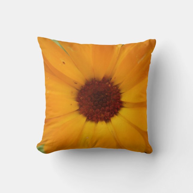 Oranje Rain Daisy Pillow Kussen (Voorkant)
