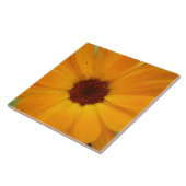 Oranje Rain Daisy Tile Tegeltje (Zijkant)