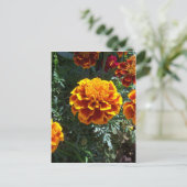 Oranje randen verticaal briefkaart (Staand voorkant)
