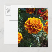 Oranje randen verticaal briefkaart (Voorkant / Achterkant)
