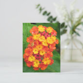 Oranje-Red Lantana Briefkaart (Staand voorkant)