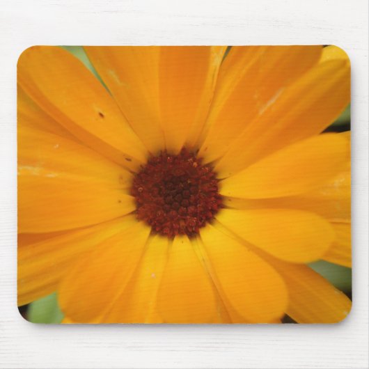 Oranje Regen Daisy Mousepad Muismat (Voorkant)