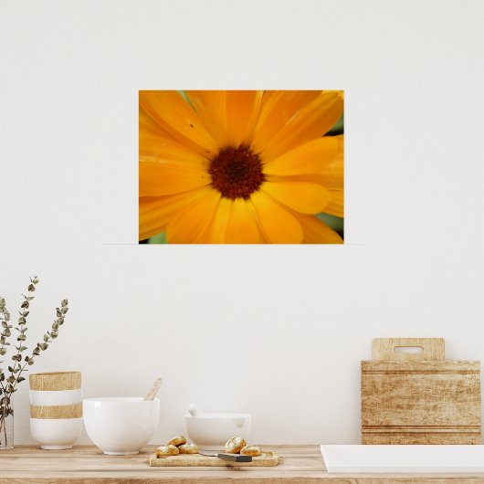 Oranje Regen Daisy Print (Keuken)