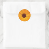 Oranje Regen Daisy Stickers (Tas)