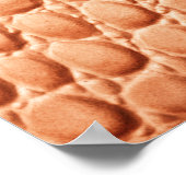 Oranje Reptielleer Textuur Ontwerp Poster (Hoek)