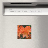 Oranje Rhododendron Flower Magnet (Insitu (Vaatwasser))