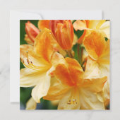 Oranje Rhododendron Flowers 80th Birthday Party Kaart (Achterkant)