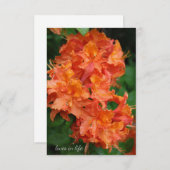 Oranje Rhododendron Notitiekaartje (Voorkant / Achterkant)