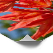 "Oranje Rhododendron" Poster (Hoek)