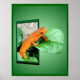 Oranje rode EFT salamander uit Lijst kunst Poster