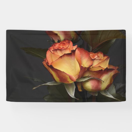 Oranje, rode en gele rozen spandoek (Horizontaal)