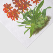 Oranje rode, exotische, orchidee ventilatorontkopp tissuepapier (Detail)