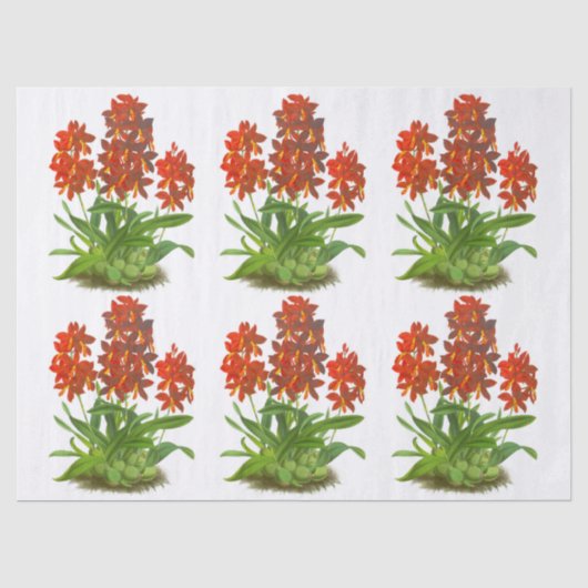 Oranje rode, exotische, orchidee ventilatorontkopp tissuepapier (Voorkant)
