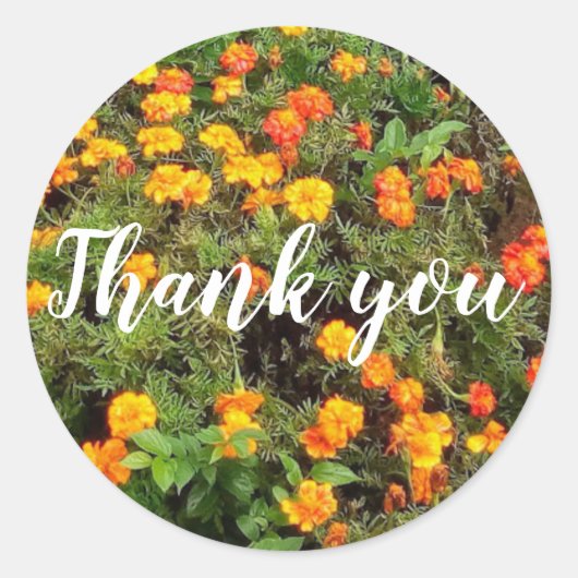 Oranje rode groene botanische bloem dank u ronde sticker (Voorkant)