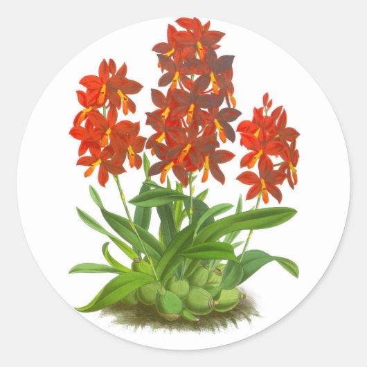 Oranje rode orchidee ventilator_GC - Sticker (Voorkant)