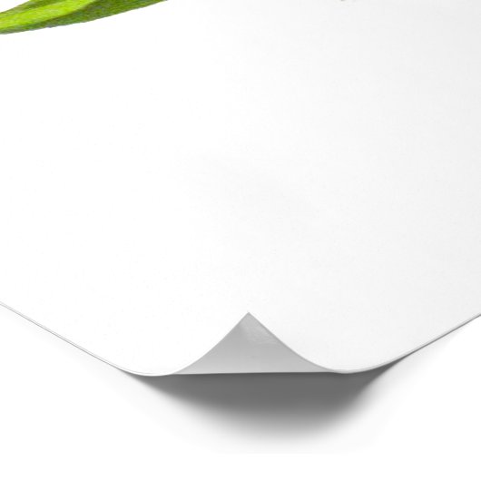 Oranje rode orchidee ventilator Poster (Hoek)