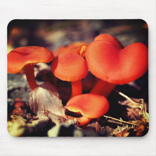 Oranje rode paddenstoelen Natuur Muismat (Voorkant)