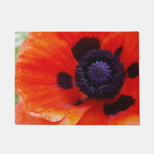 Oranje rode papaver deurmat