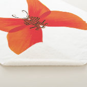 Oranje rode papavervlinder met Jouw naam Sherpa Deken (3/4)