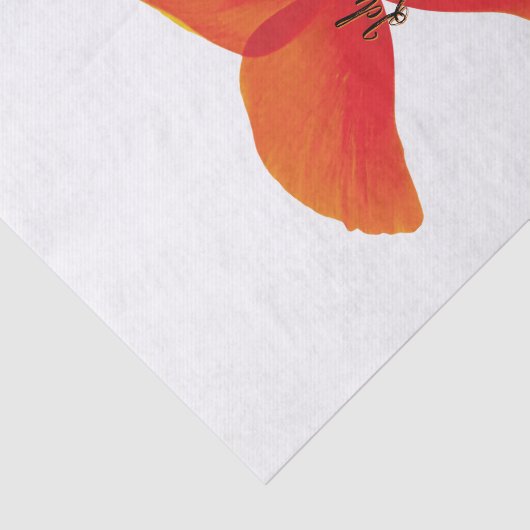 Oranje rode papavervlinder met Jouw naam Tissuepapier (Detail)