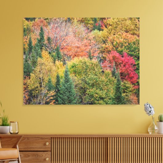 Oranje rode Struik Canvas Afdruk (Insitu (Woonkamer))