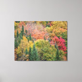 Oranje rode Struik Canvas Afdruk (Voorkant)
