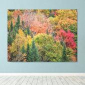 Oranje rode Struik Canvas Afdruk (Insitu (Houten vloer))