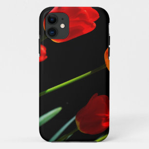 Oranje rode Tulp Flowers Black Achtergrond iPhone 11 Hoesje