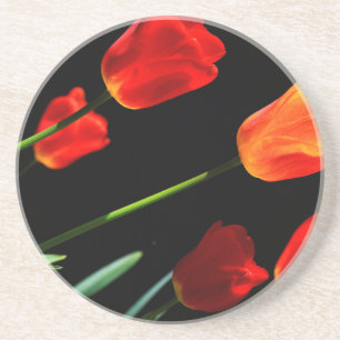 Oranje rode Tulp Flowers Black Achtergrond Zandsteen Onderzetter