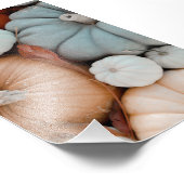 Oranje rode witte en blauwe pompoenen foto afdruk (Hoek)