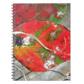 Oranje, rood, groen, geel herfst blad notitieboek (Voorkant)