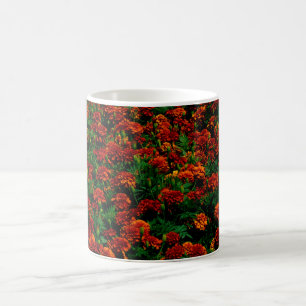 Oranje rood landschap koffiemok