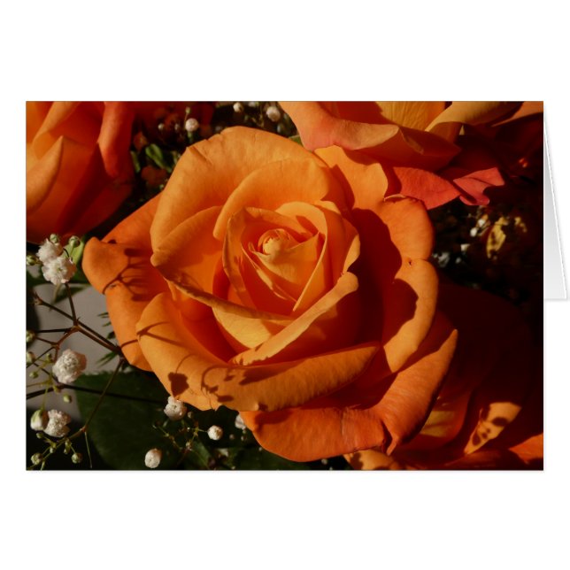 oranje roos (Voorkant Horizontaal)