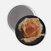 ORANJE ROOS 1 MAGNEET (Voorkant / Achterkant)