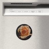 ORANJE ROOS 1 MAGNEET (Insitu (Vaatwasser))