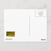 ORANJE ROOS 2 BRIEFKAART (Achterkant)