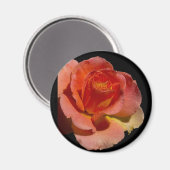 ORANJE ROOS 2 MAGNEET (Voorkant / Achterkant)