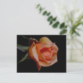 ORANJE ROOS 3 BRIEFKAART (Staand voorkant)
