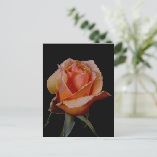 ORANJE ROOS 3 BRIEFKAART (Staand voorkant)